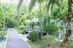เซนจูรีแคร์เซนเตอร์