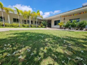 Nursing Home Health Care and Service