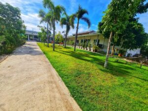 Nursing Home Health Care and Service
