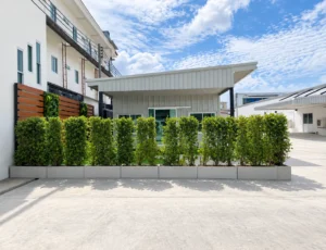 P Care Nursing Home