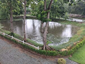 เจบี เอจ แคร์ พัทยา